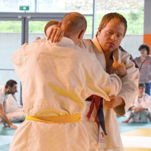 Section judo adapté