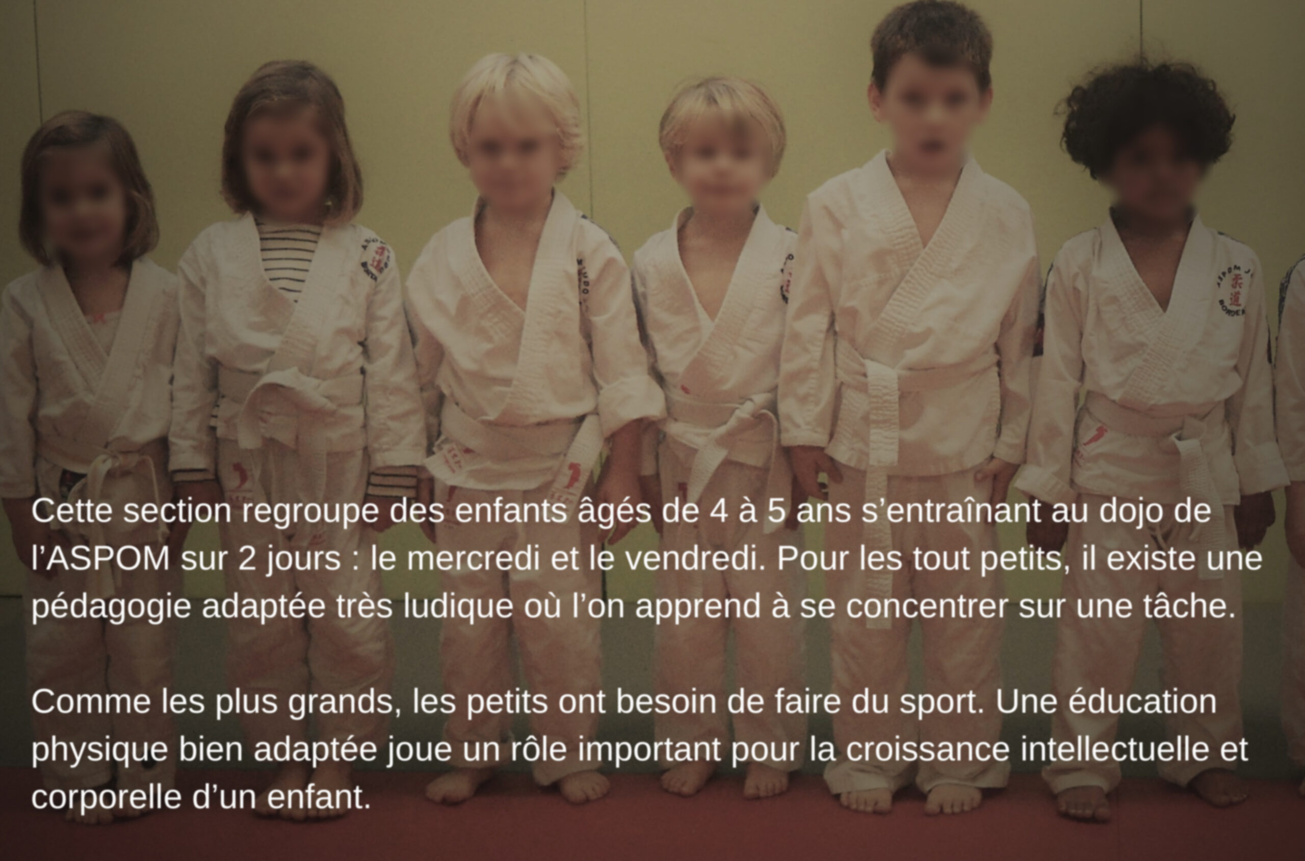 Eveil judo Baby Judo